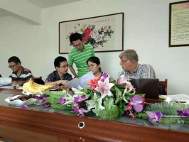 歐盟審計(jì)圖