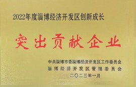經(jīng)開(kāi)區(qū)突出貢獻(xiàn)企業(yè)